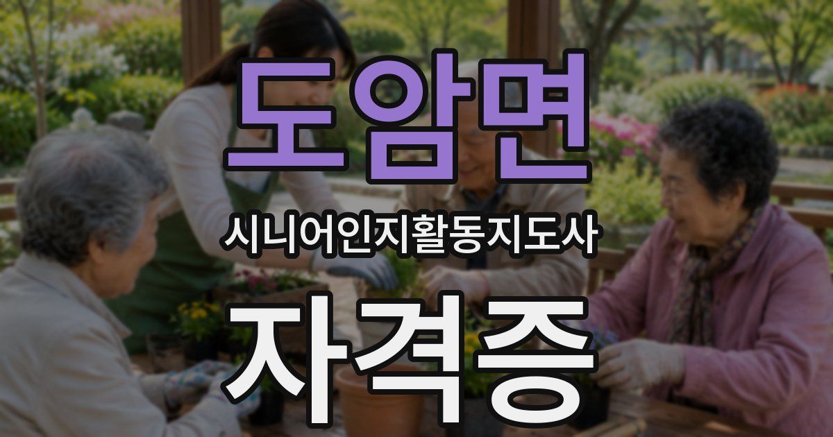 도암면 시니어인지활동지도사 자격증