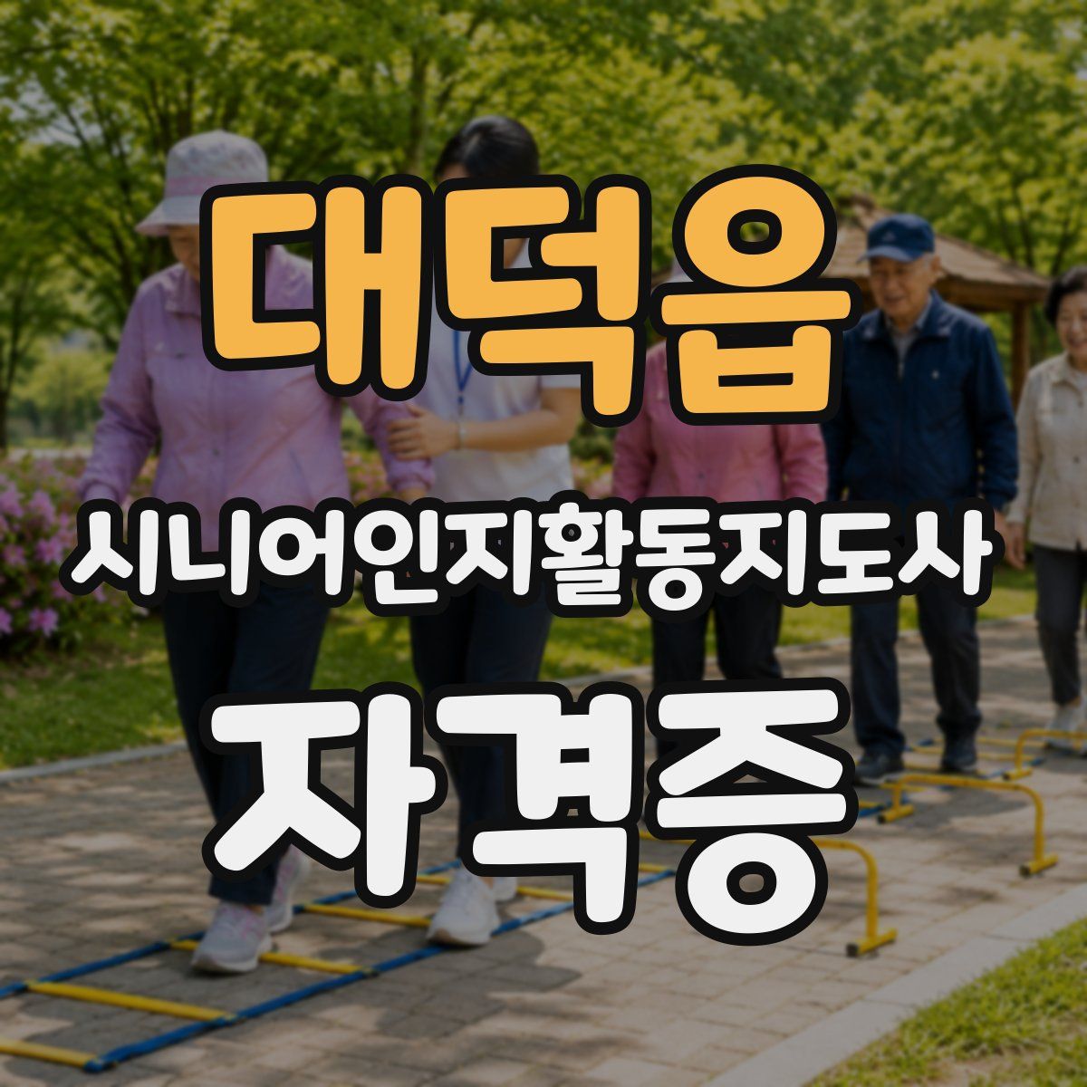 대덕읍 시니어인지활동지도사 자격증