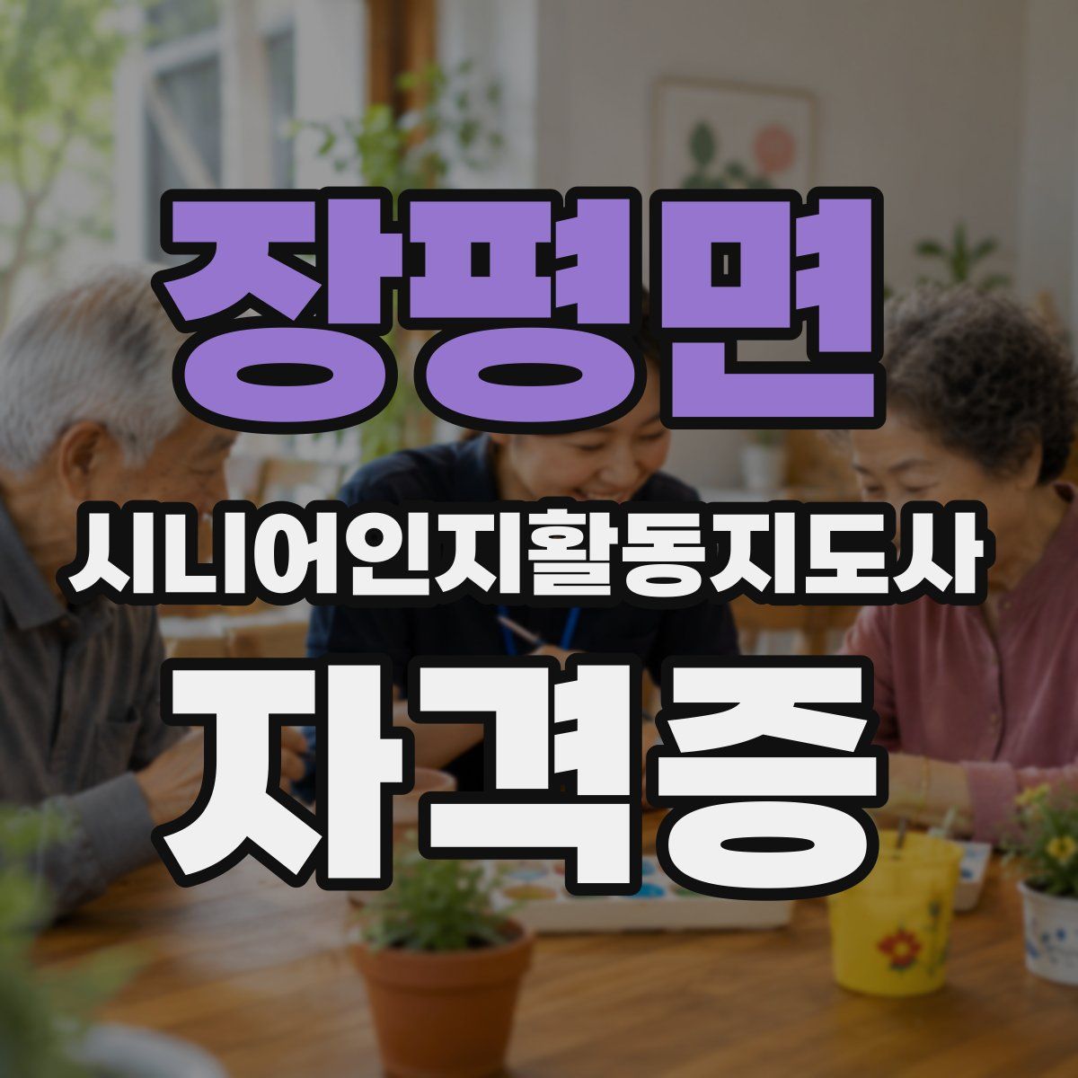 장평면 시니어인지활동지도사 자격증