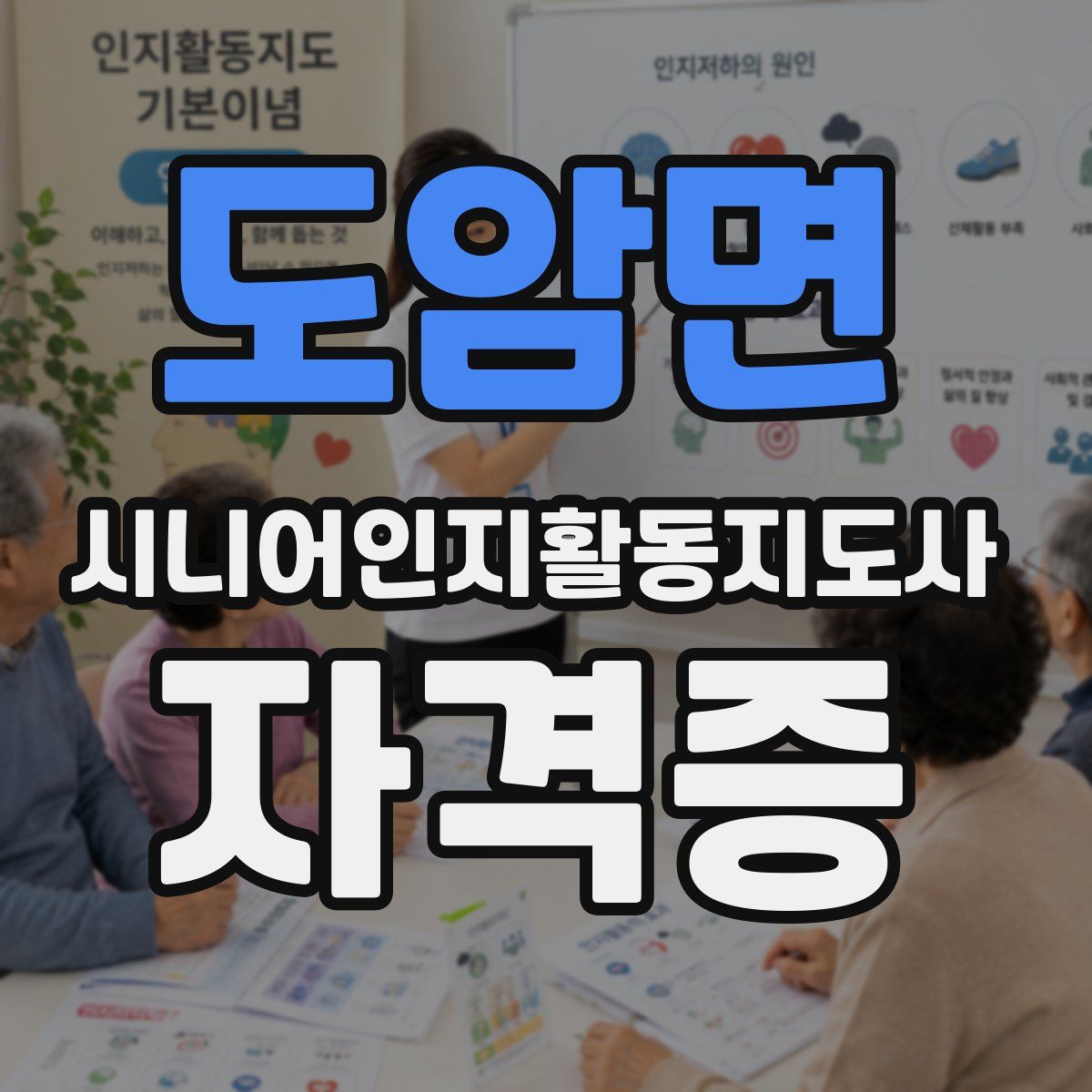 도암면 시니어인지활동지도사 자격증