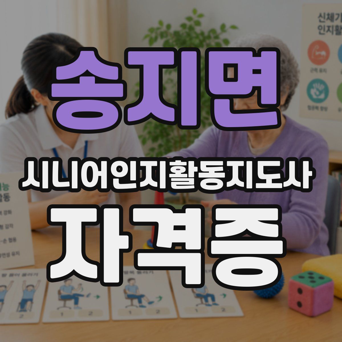 송지면 시니어인지활동지도사 자격증