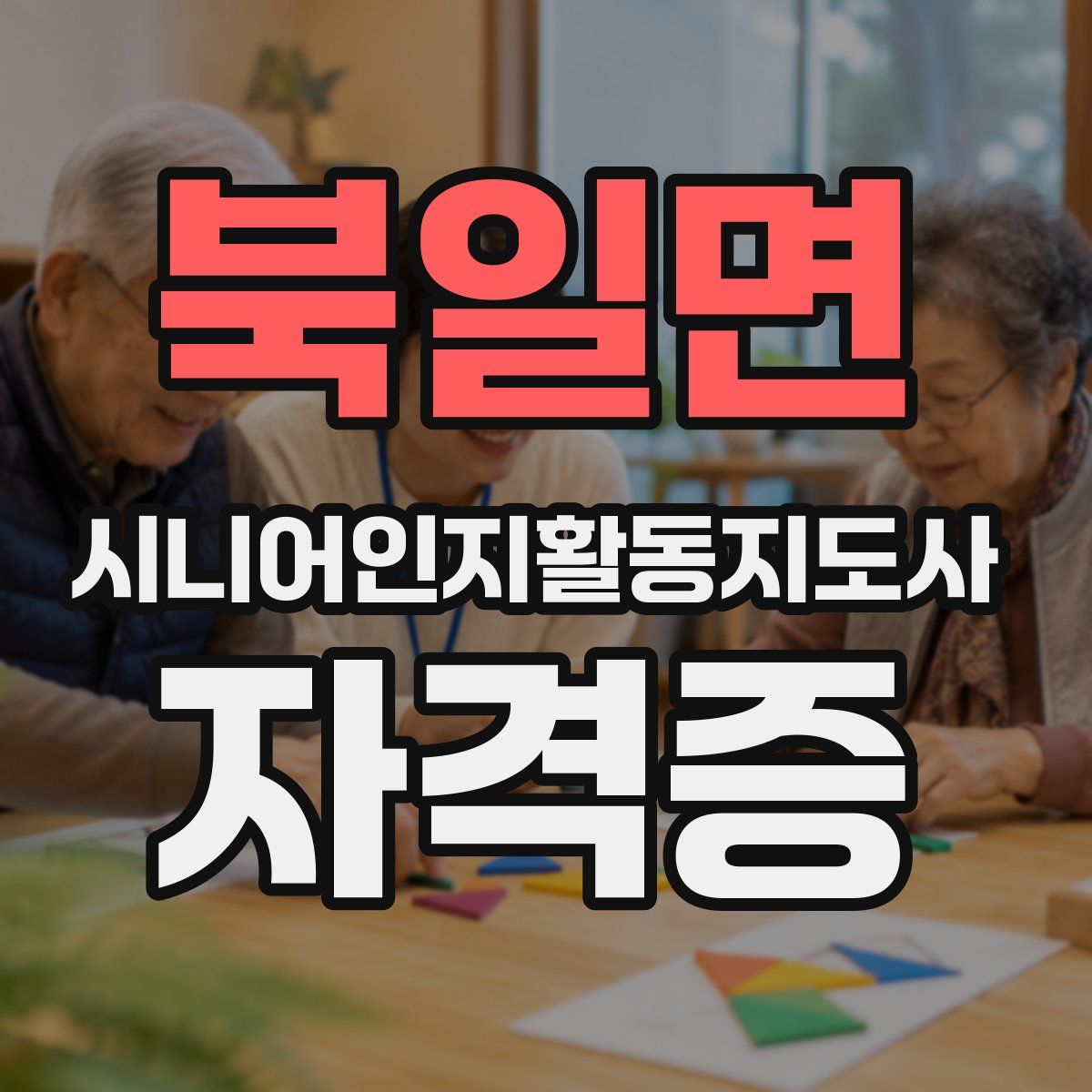 북일면 시니어인지활동지도사 자격증