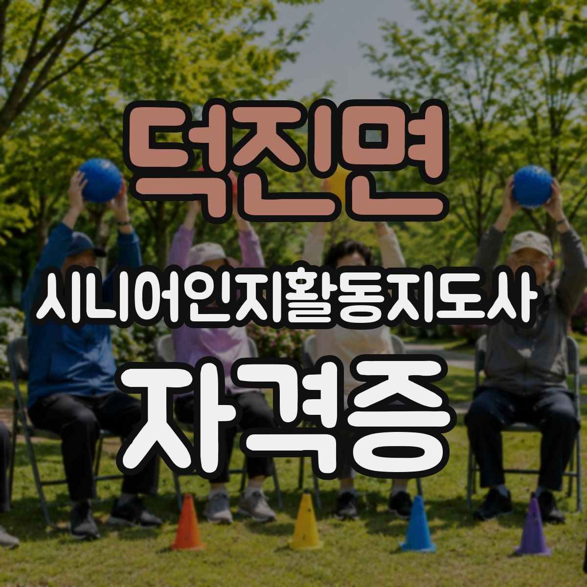 덕진면 시니어인지활동지도사 자격증