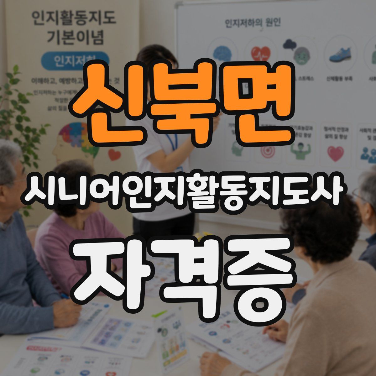 신북면 시니어인지활동지도사 자격증