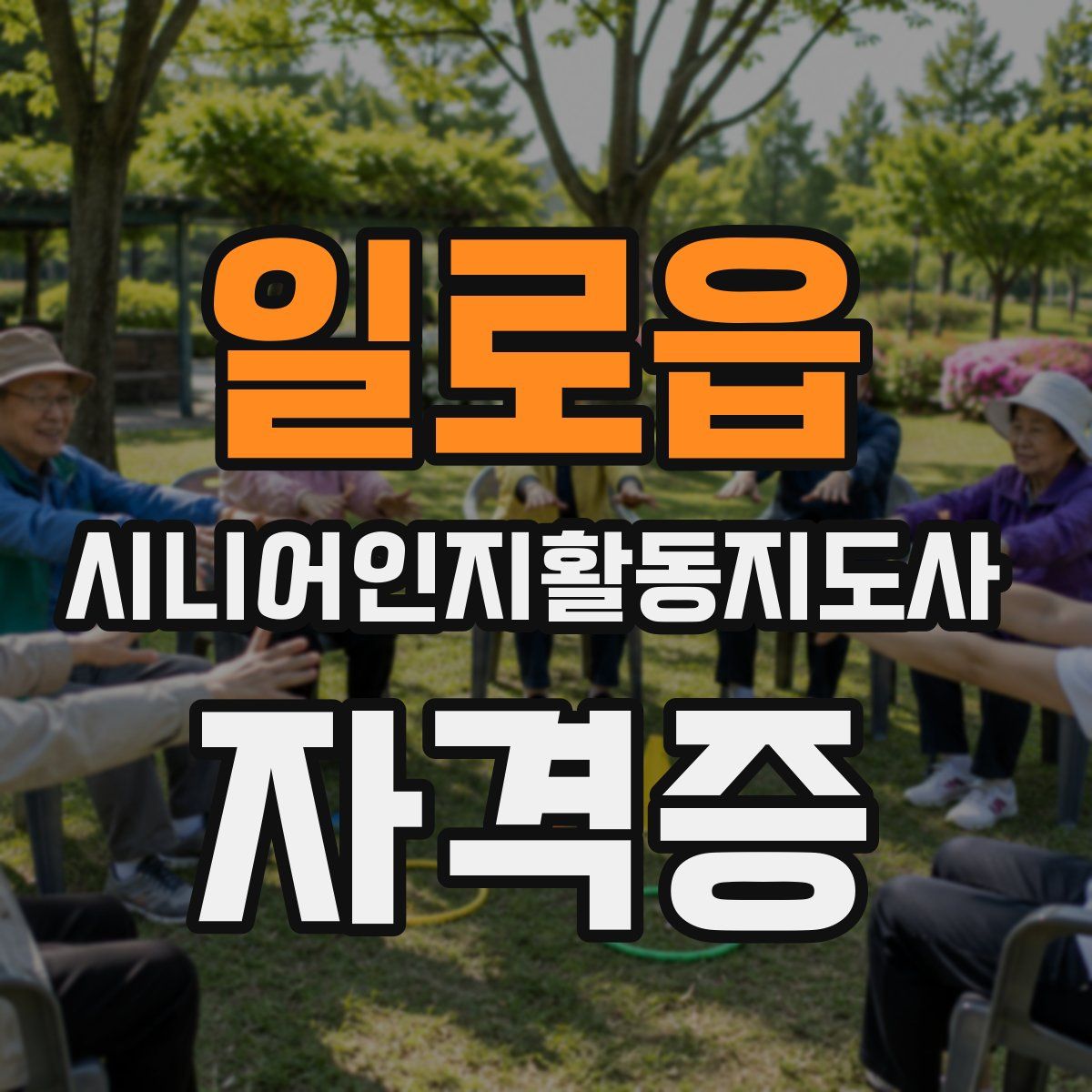 일로읍 시니어인지활동지도사 자격증