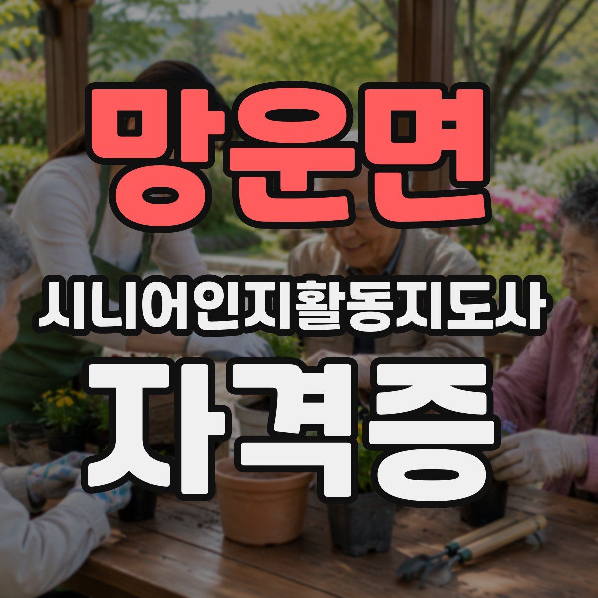 망운면 시니어인지활동지도사 자격증