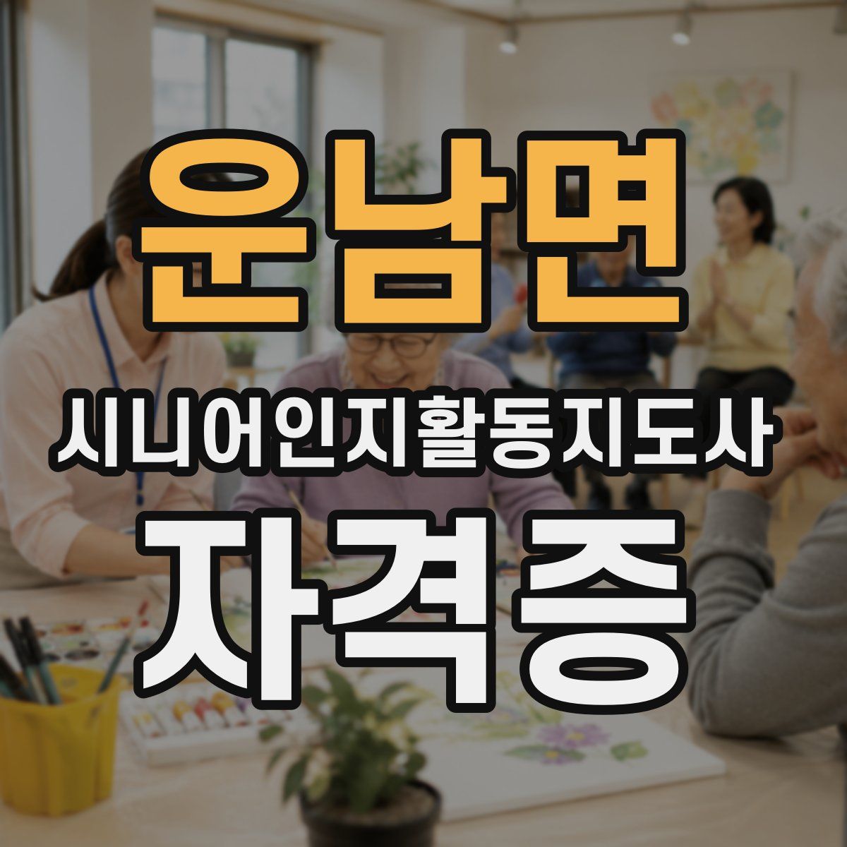 운남면 시니어인지활동지도사 자격증