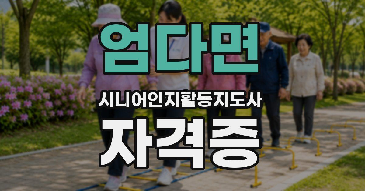 엄다면 시니어인지활동지도사 자격증