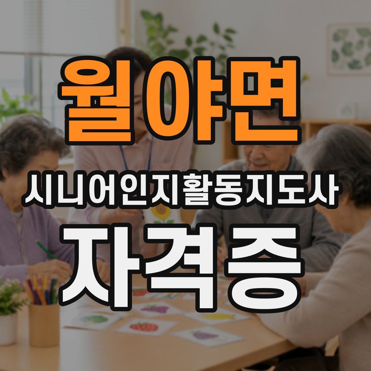 월야면 시니어인지활동지도사 자격증