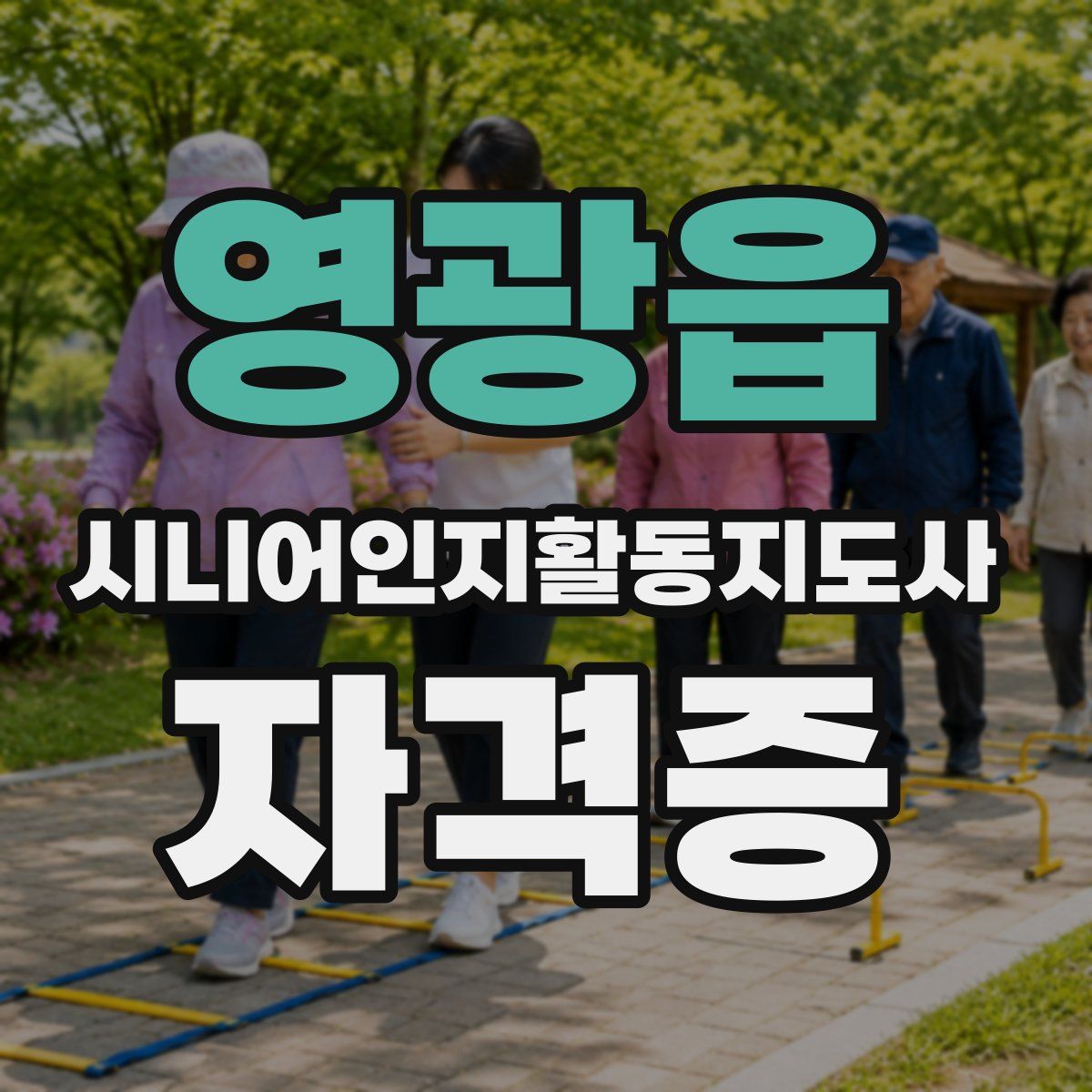 영광읍 시니어인지활동지도사 자격증
