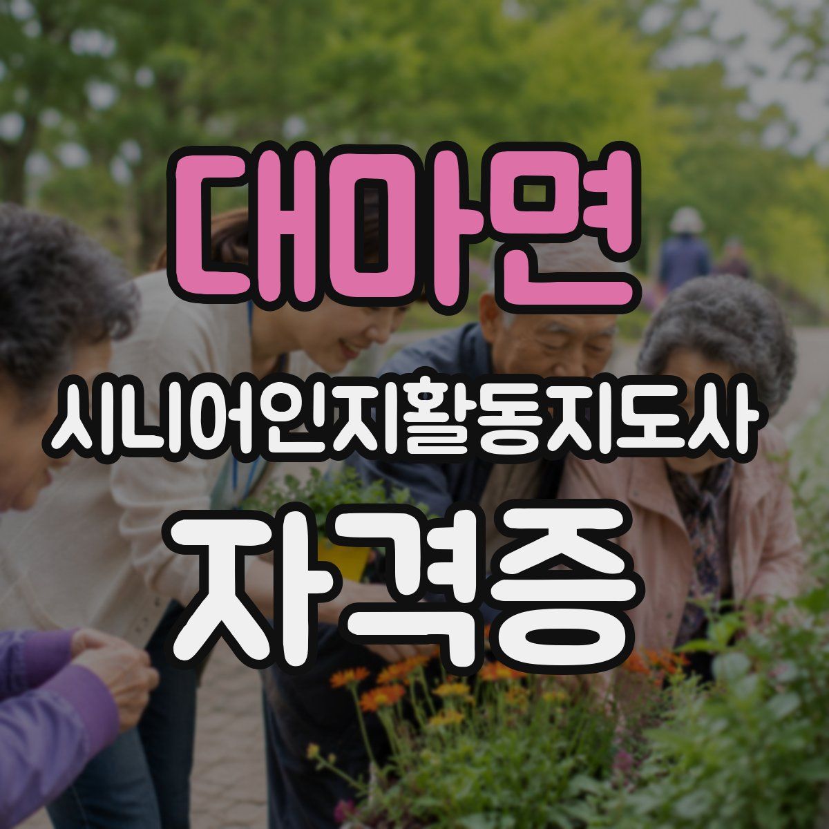 대마면 시니어인지활동지도사 자격증