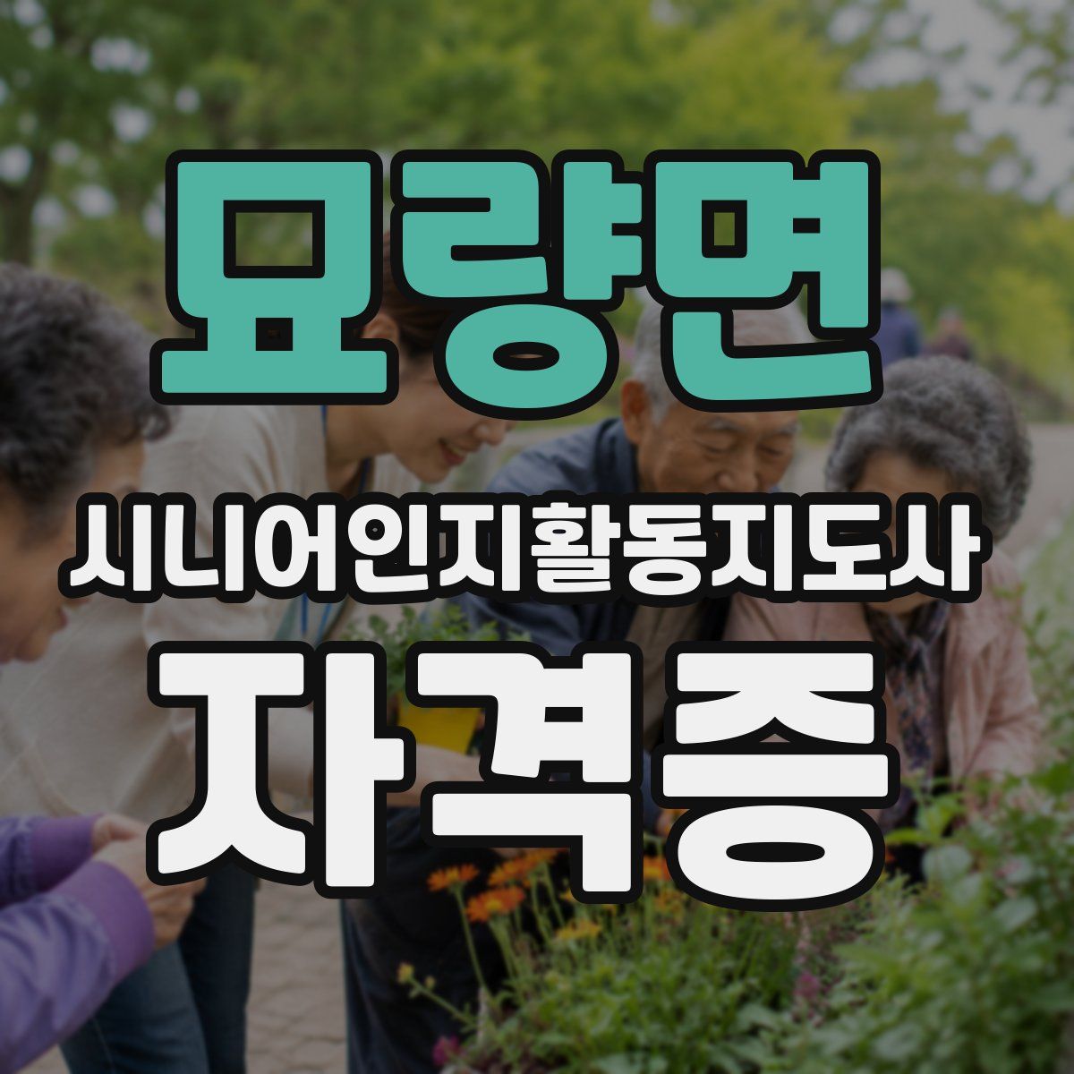 묘량면 시니어인지활동지도사 자격증