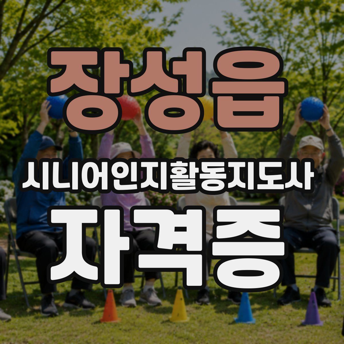 장성읍 시니어인지활동지도사 자격증