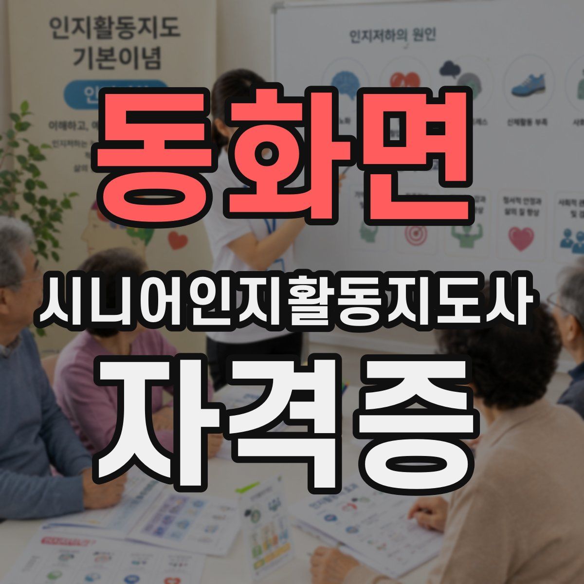 동화면 시니어인지활동지도사 자격증