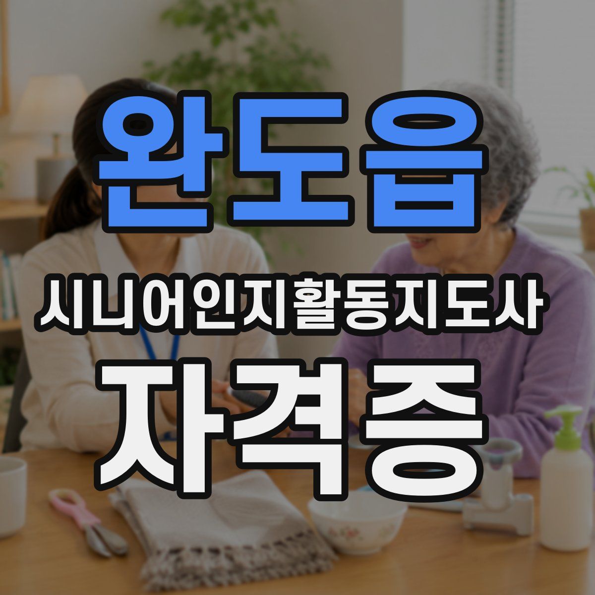 완도읍 시니어인지활동지도사 자격증