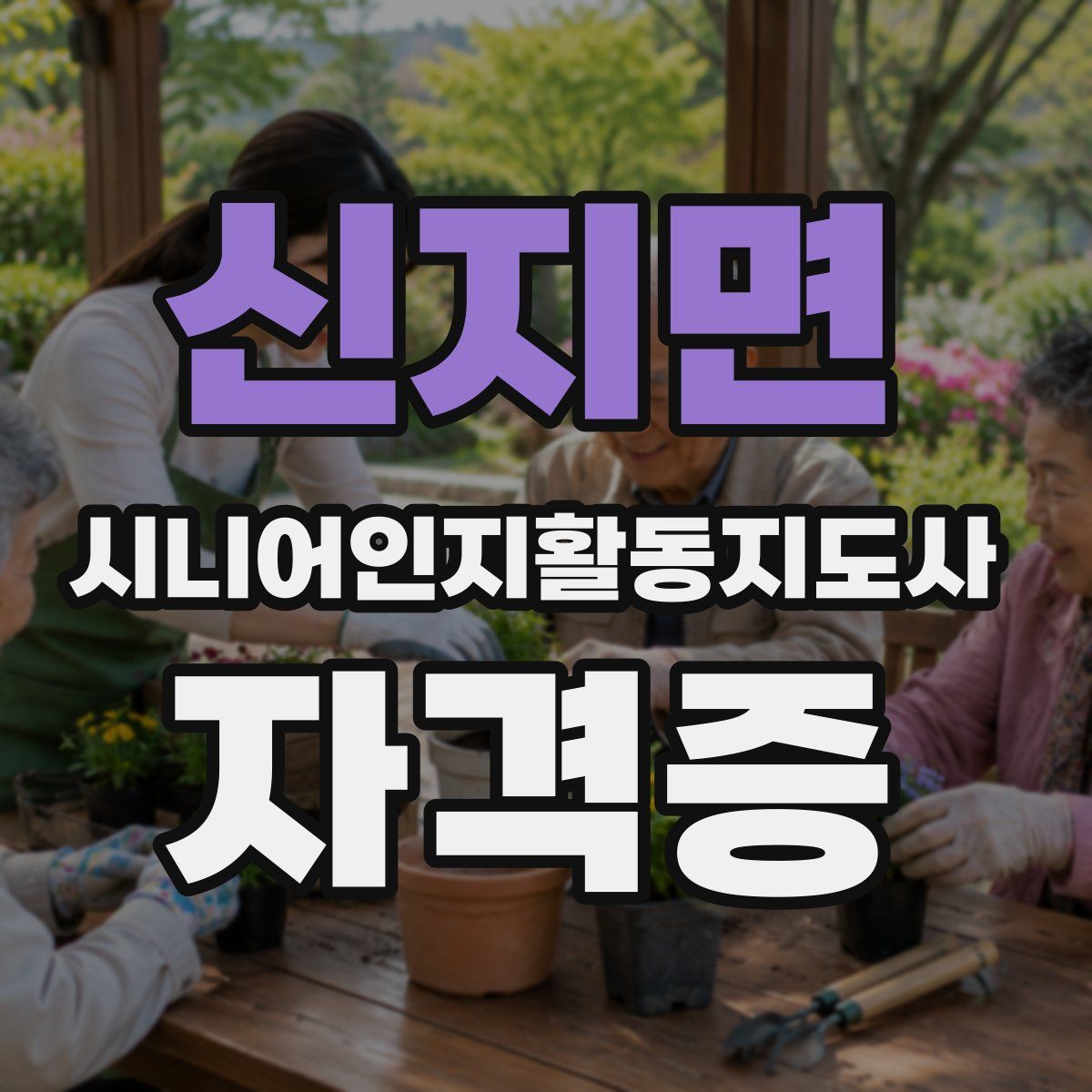 신지면 시니어인지활동지도사 자격증