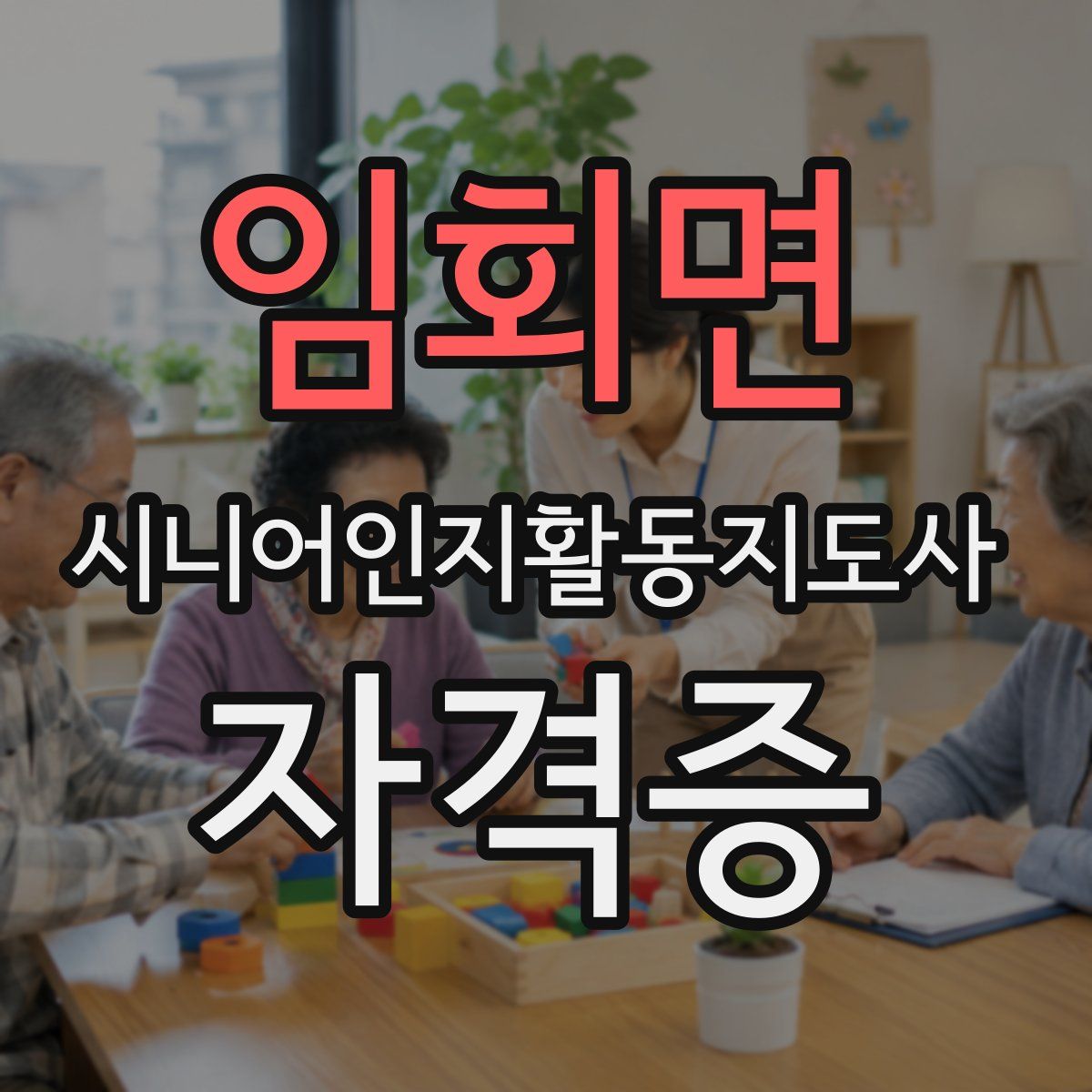 임회면 시니어인지활동지도사 자격증