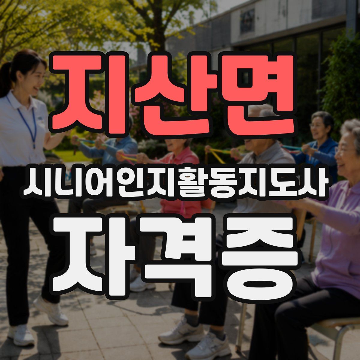 지산면 시니어인지활동지도사 자격증