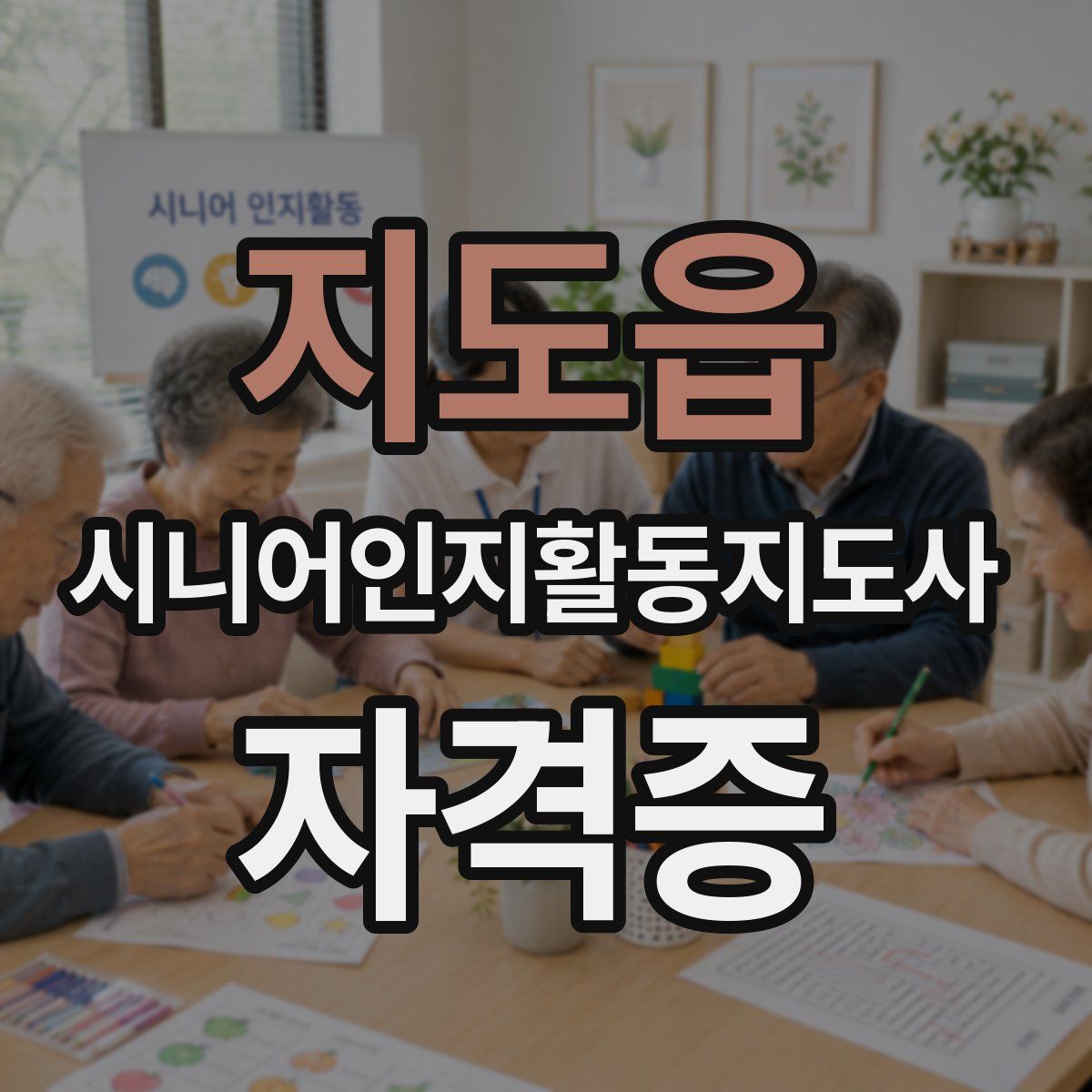 지도읍 시니어인지활동지도사 자격증