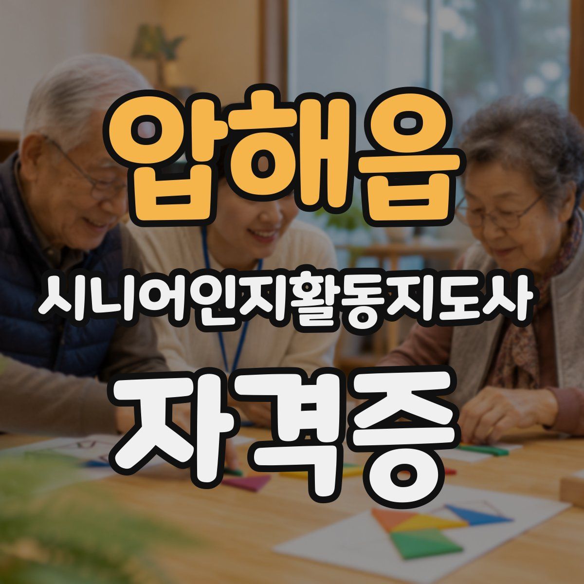 압해읍 시니어인지활동지도사 자격증