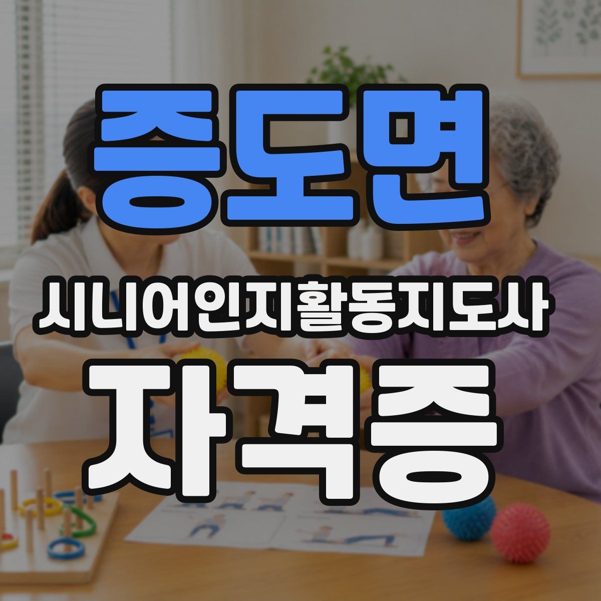 증도면 시니어인지활동지도사 자격증
