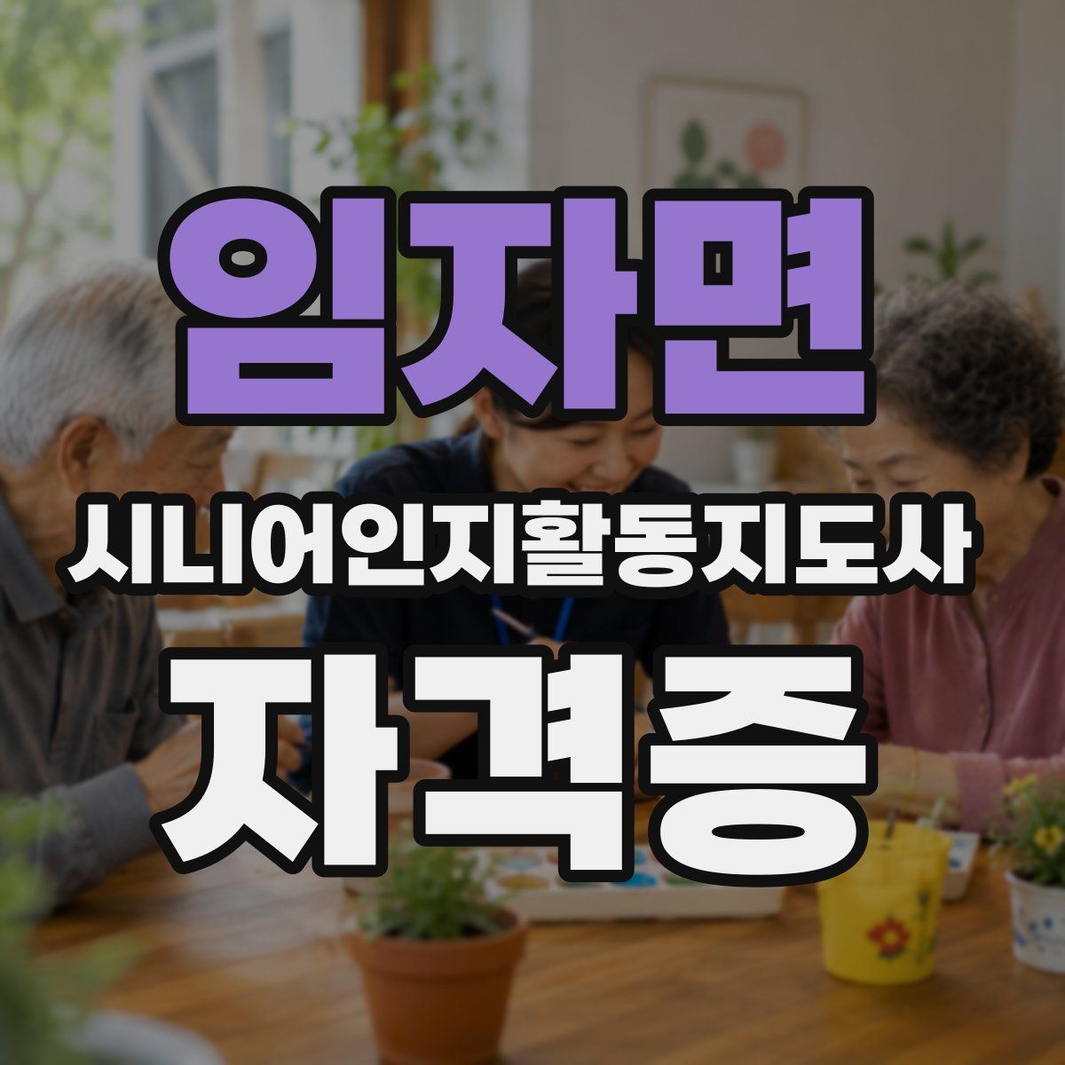 임자면 시니어인지활동지도사 자격증