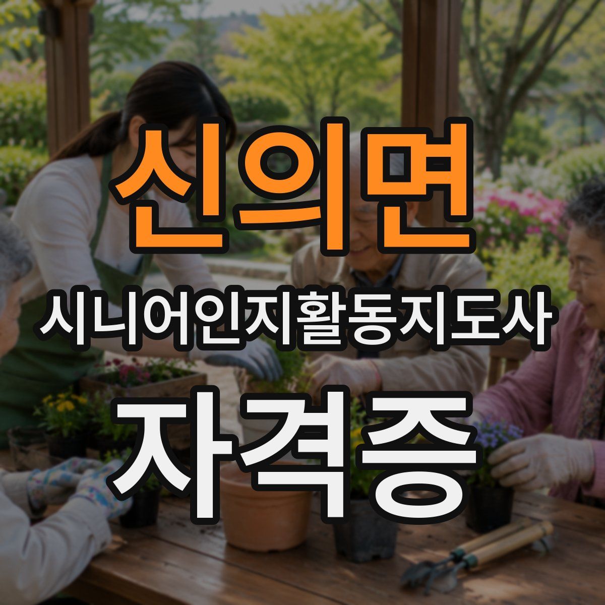 신의면 시니어인지활동지도사 자격증
