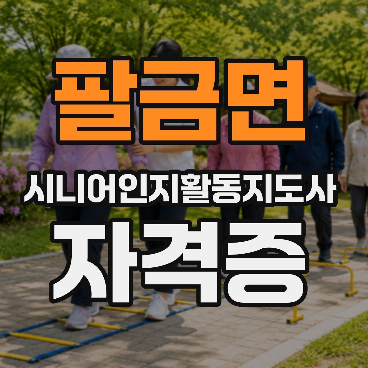 팔금면 시니어인지활동지도사 자격증