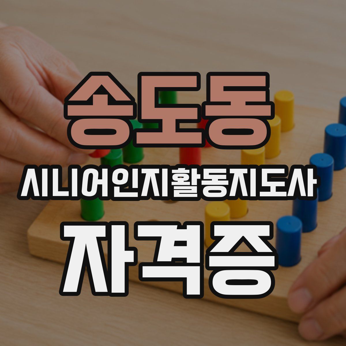 송도동 시니어인지활동지도사 자격증