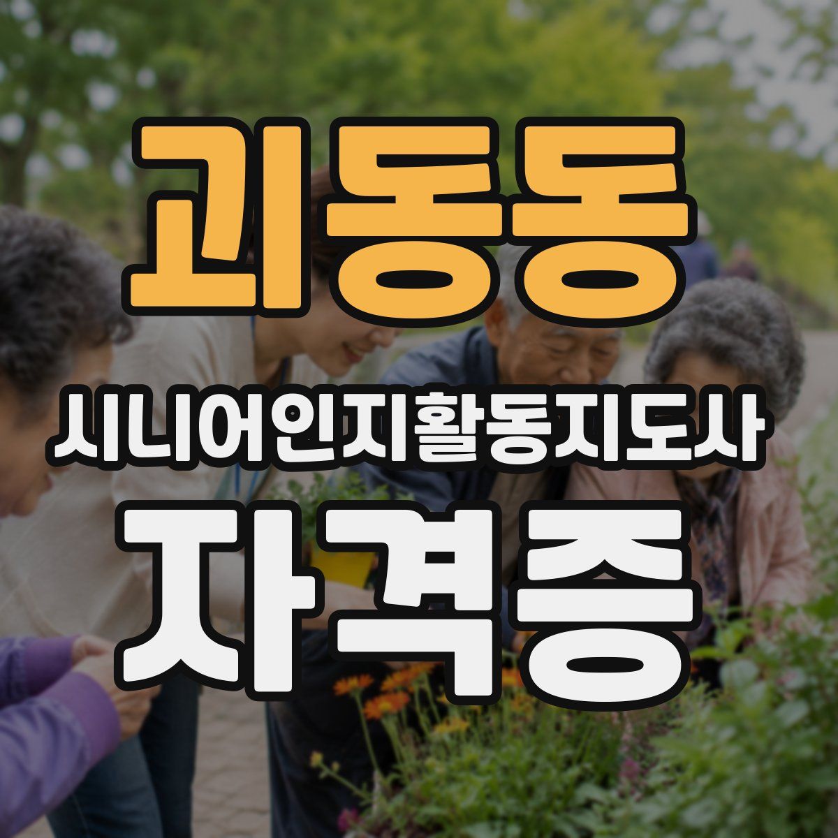 괴동동 시니어인지활동지도사 자격증