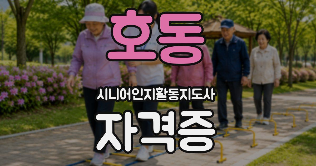 호동 시니어인지활동지도사 자격증
