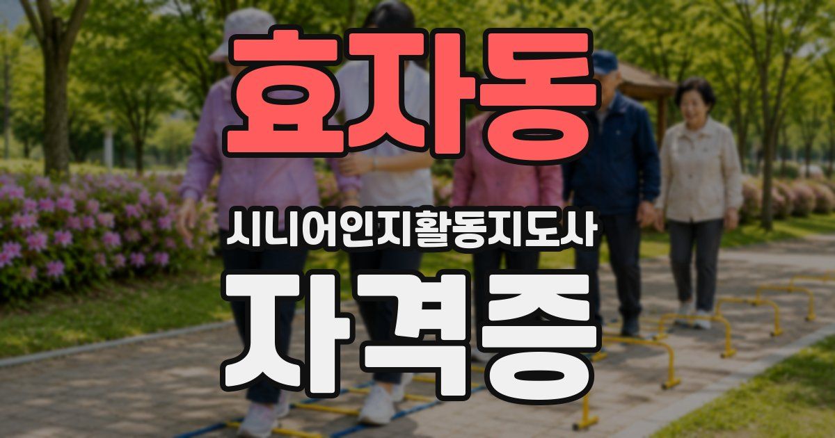 효자동 시니어인지활동지도사 자격증