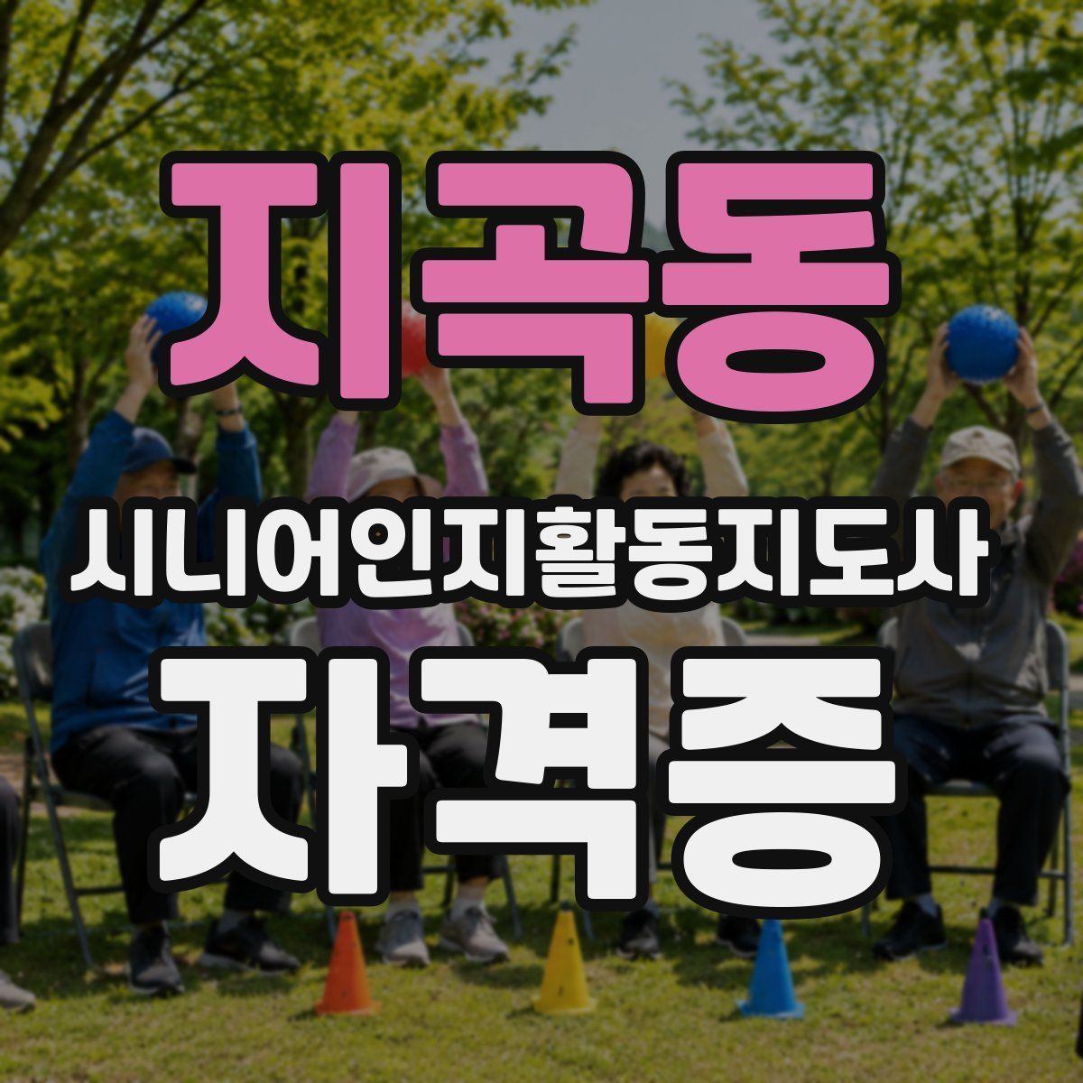 지곡동 시니어인지활동지도사 자격증