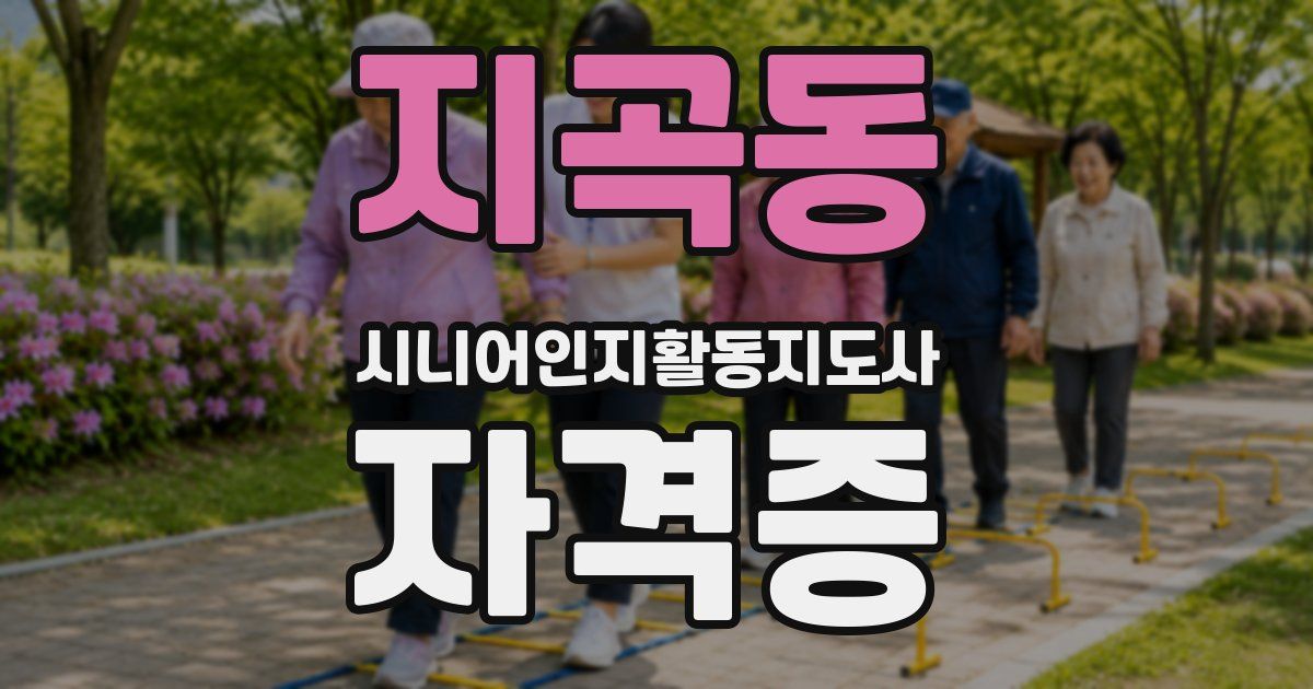 지곡동 시니어인지활동지도사 자격증