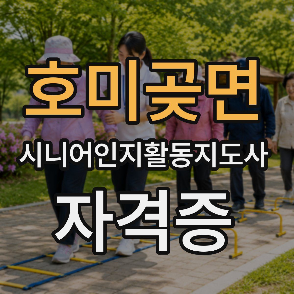 호미곶면 시니어인지활동지도사 자격증