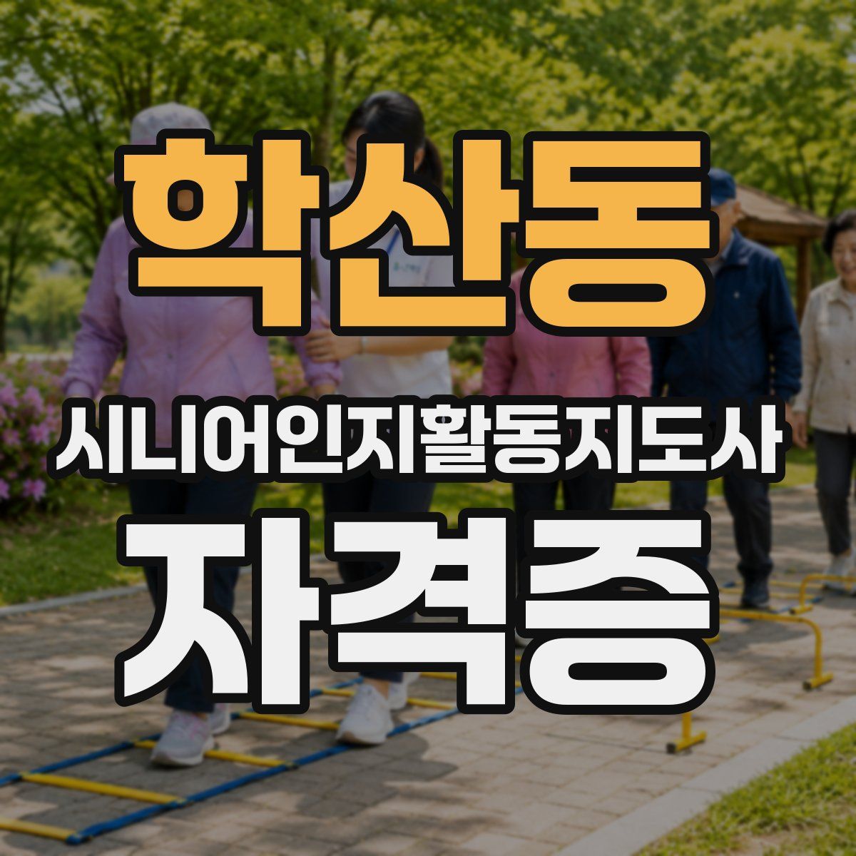 학산동 시니어인지활동지도사 자격증