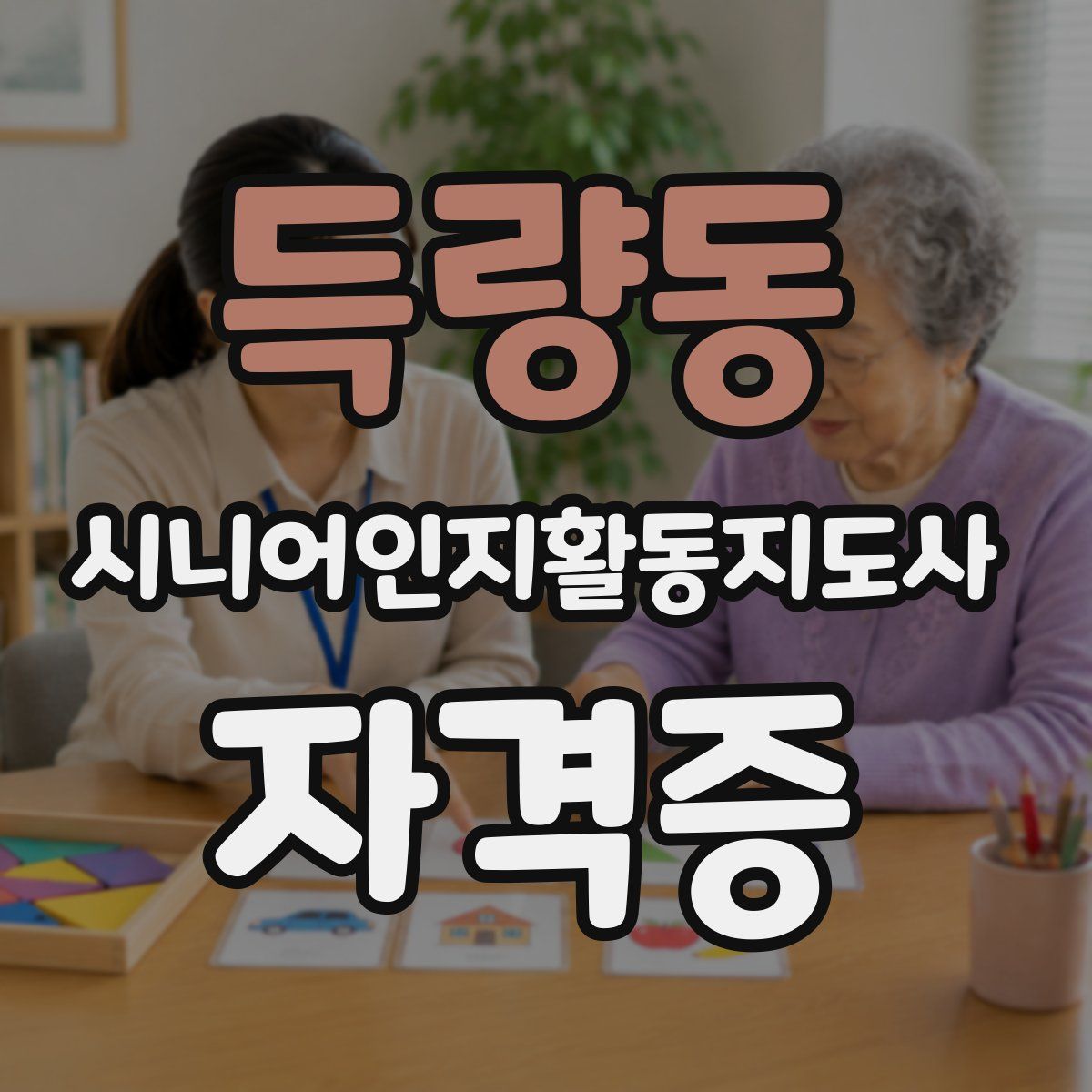 득량동 시니어인지활동지도사 자격증