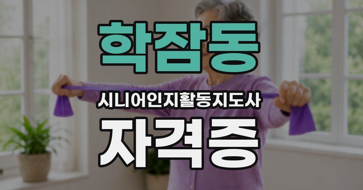 학잠동 시니어인지활동지도사 자격증