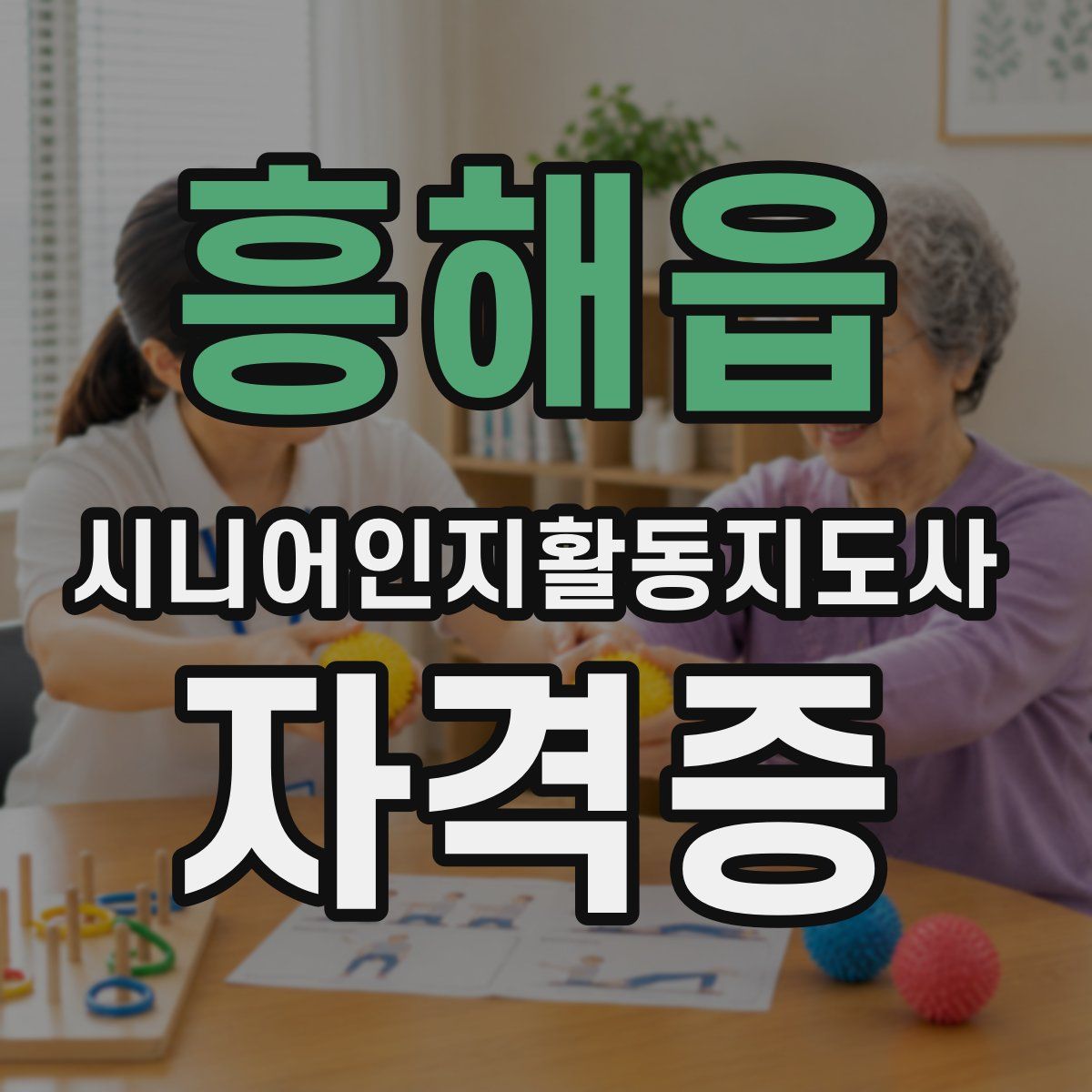 흥해읍 시니어인지활동지도사 자격증