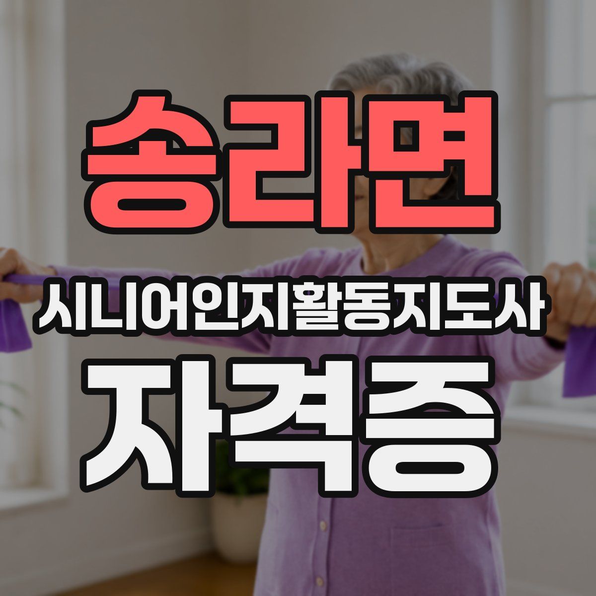 송라면 시니어인지활동지도사 자격증