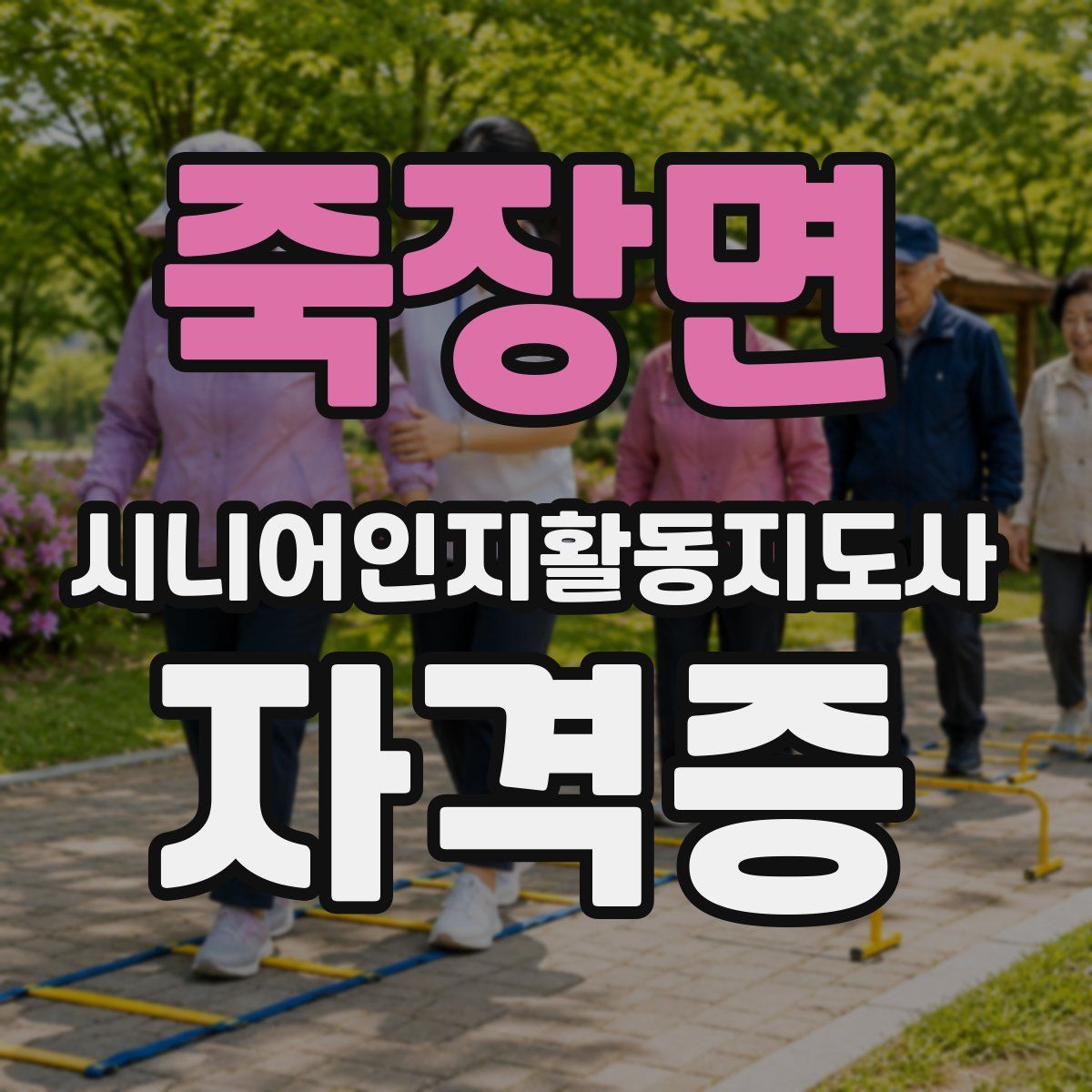 죽장면 시니어인지활동지도사 자격증