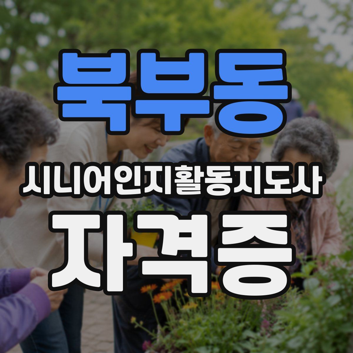 북부동 시니어인지활동지도사 자격증