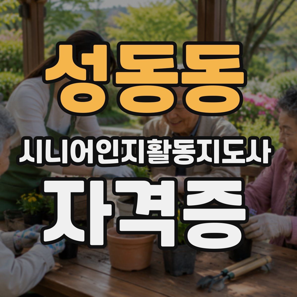 성동동 시니어인지활동지도사 자격증