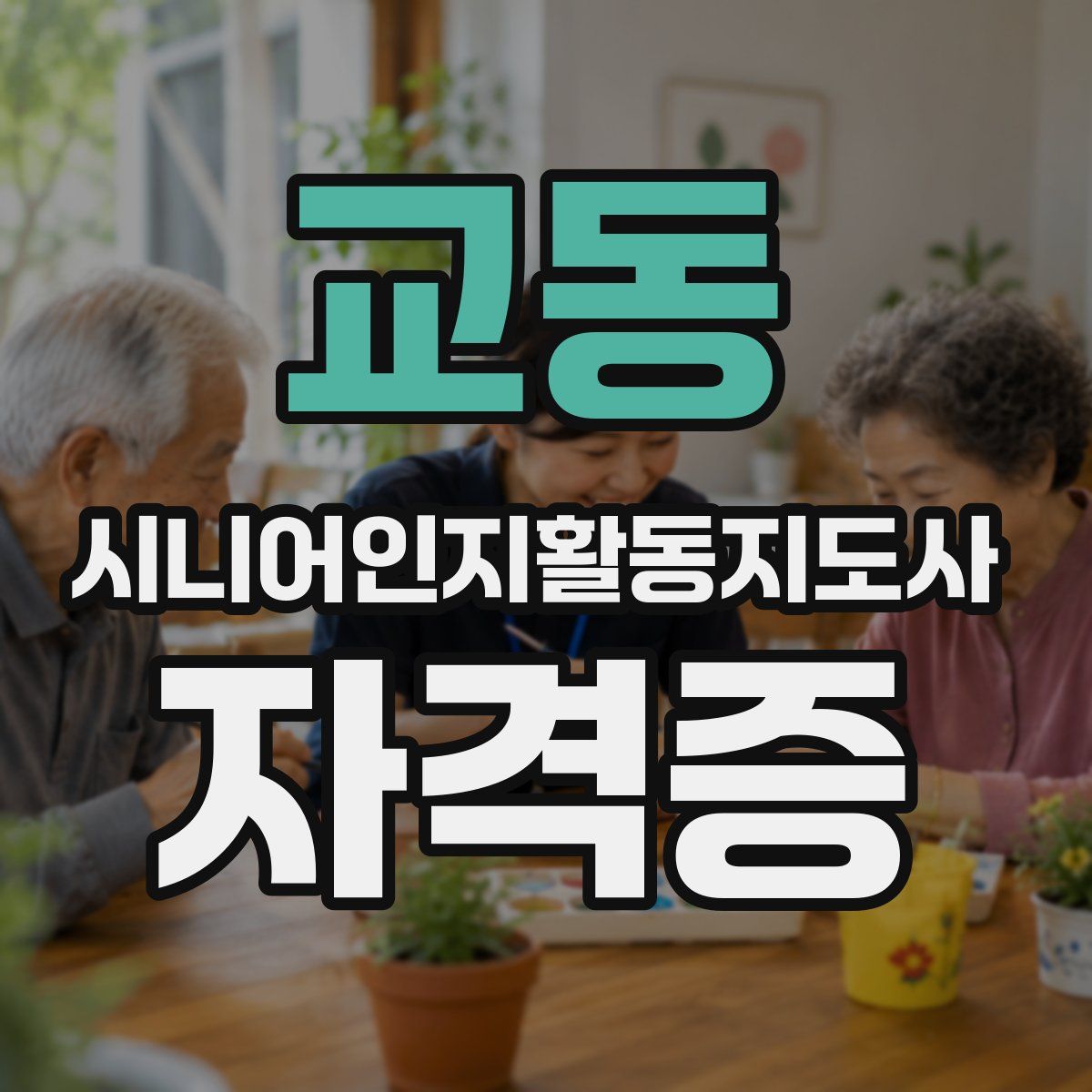 교동 시니어인지활동지도사 자격증