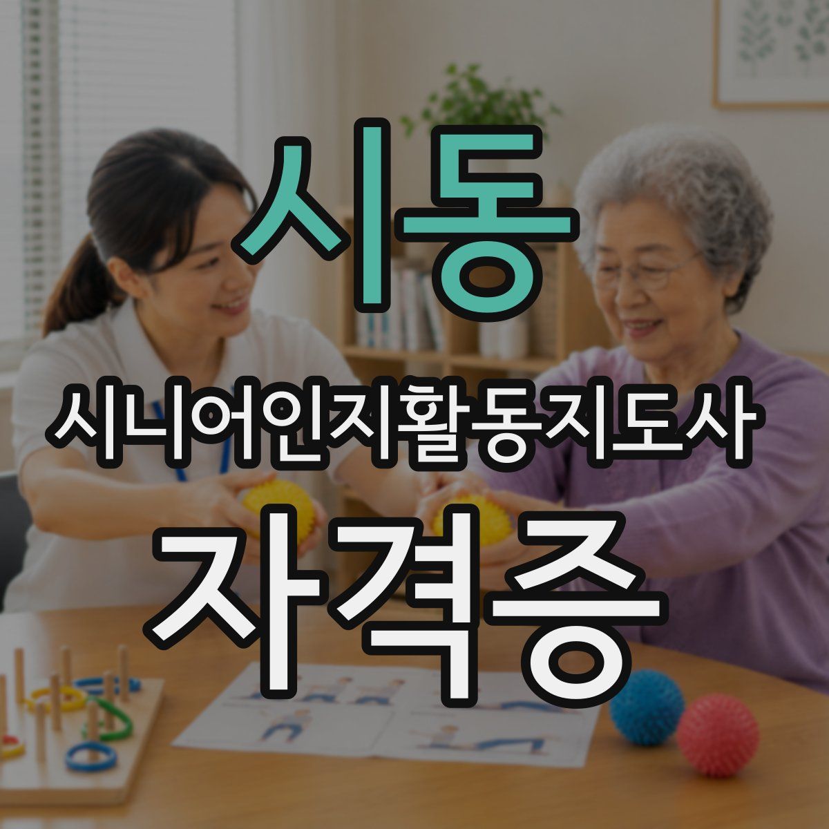 시동 시니어인지활동지도사 자격증