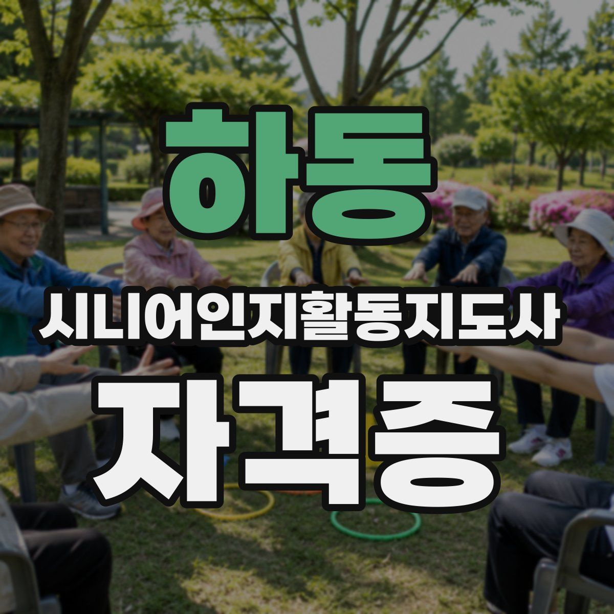 하동 시니어인지활동지도사 자격증