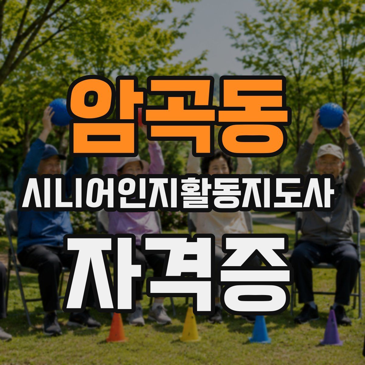 암곡동 시니어인지활동지도사 자격증