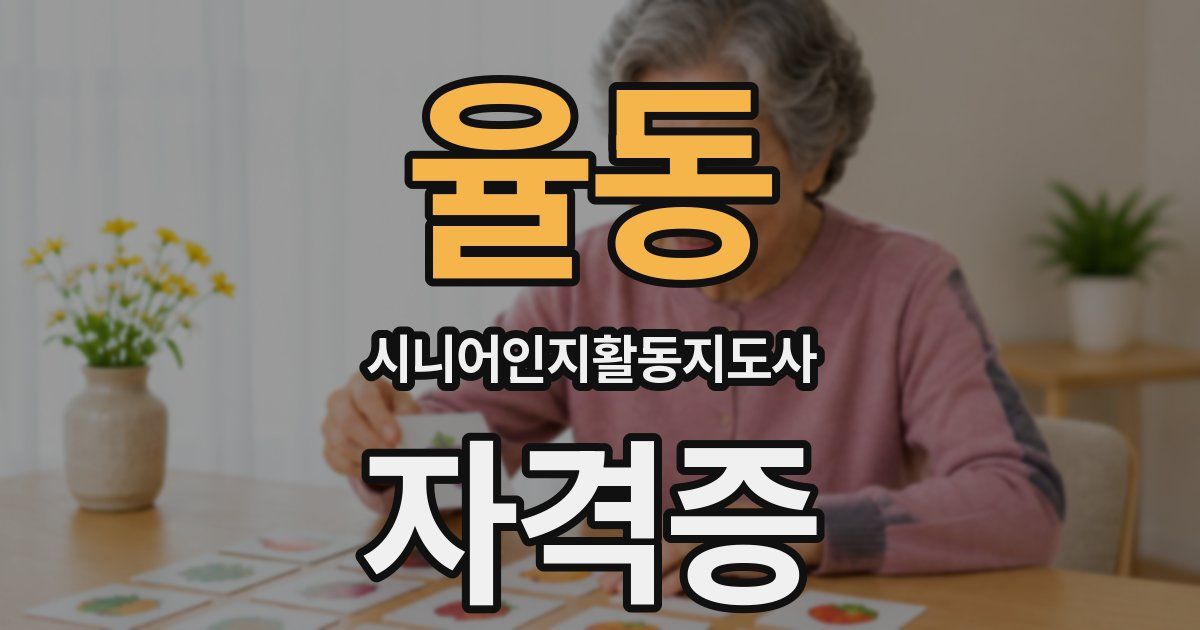 율동 시니어인지활동지도사 자격증