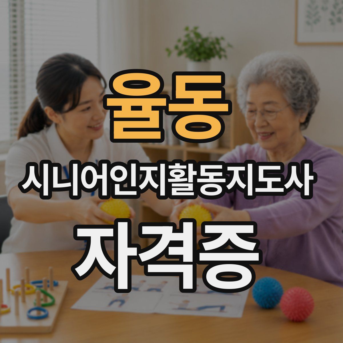 율동 시니어인지활동지도사 자격증