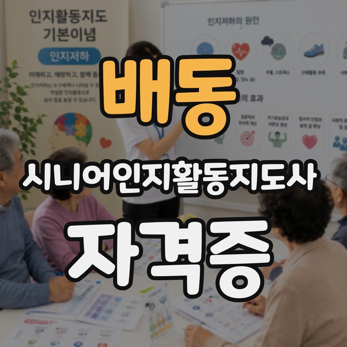 배동 시니어인지활동지도사 자격증